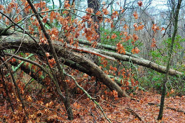 There is more pressure here then you ever want to meet