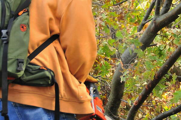 Mercer County Park - Sandy Cleanup