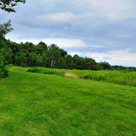 Photos Of: Teetertown Ravine Nature Preserve (Aug 2014) - 08/04/2014