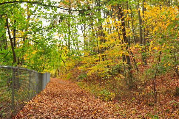 Hiking path, heading south