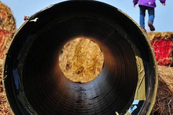 Snyders Farm Fall Festival - 2015