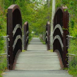 Capital to Coast Trail (not completed)