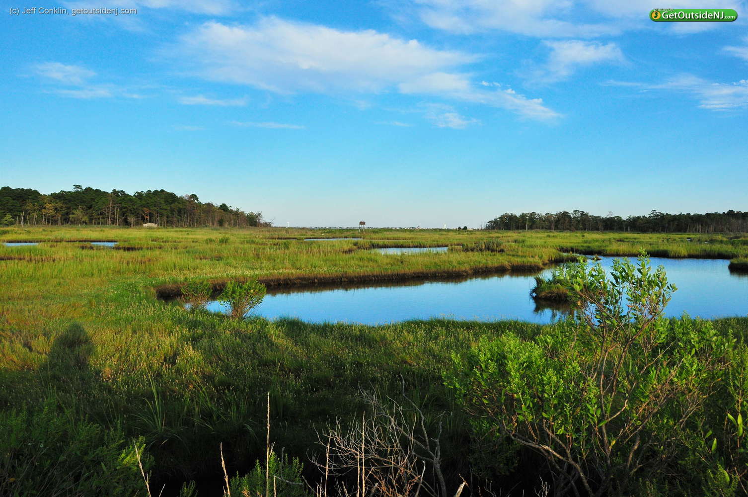 Cattus Island County Park | 1170 Cattus Island Blvd., Toms River, New ...