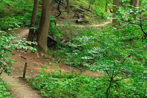 070922_076-hartshorne-woods-park.jpg