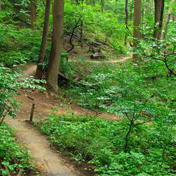 Hartshorne Woods County Park