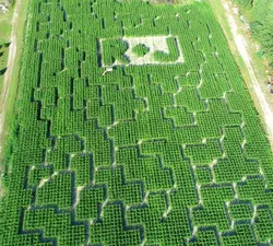 R and J Farm