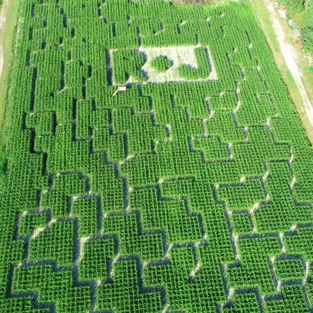 R and J Farm
