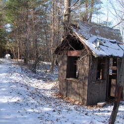 A cold walk through Jungle Habitat - 12/06/2007