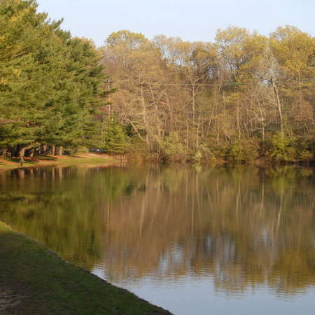 Featured Park: Shark River Park