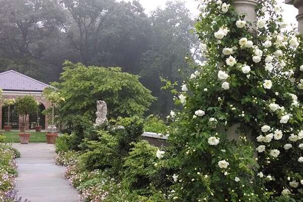  Greenwood Gardens