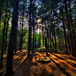 ExploringAllaire.com - A new Side Project