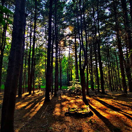 ExploringAllaire.com - A new Side Project