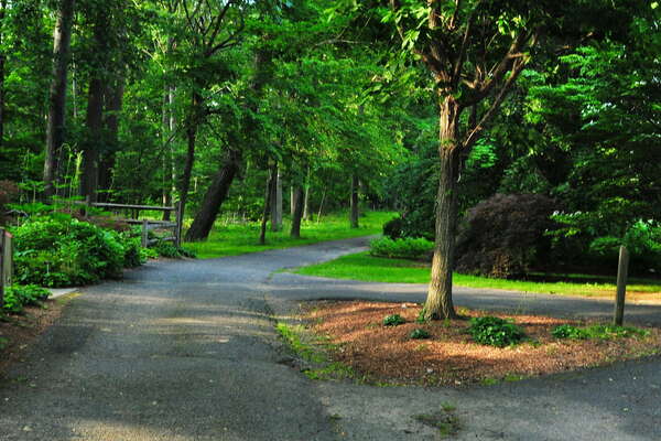 Frelinghuysen Arboretum - June 16th 2014