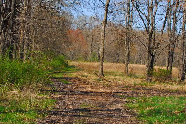 Trails in Lord Stirling Park