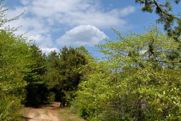 Cheesequake State Park