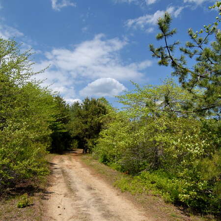 Featured Place: Cheesequake State Park
