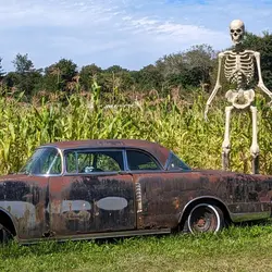 Conklin Farm U-Pick