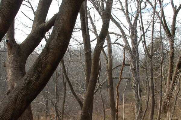 Six Mile Run Reservoir