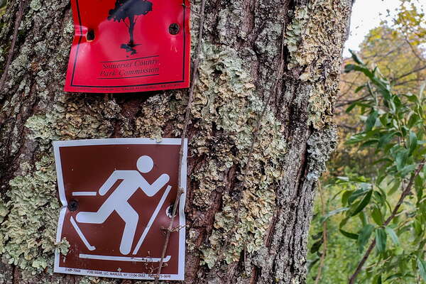 Fall HIking in Lord Sitrling Park