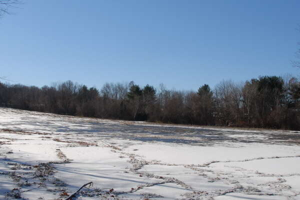 The old parking lot. It was larger than I expected.