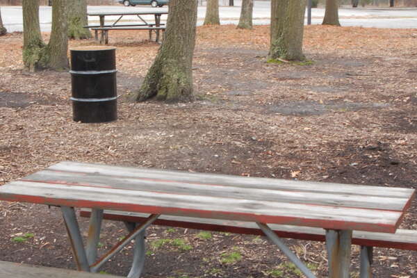 Picni Area