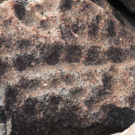 Photos Of: Ringing Rocks County Park (PA) - 2007 - 04/16/2014