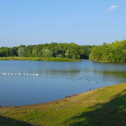 Hamilton Veterans Park