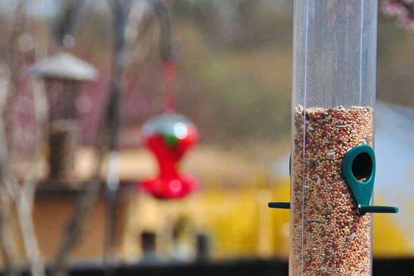 Oasis Family Farm, Easter Egg Hunt Weekend