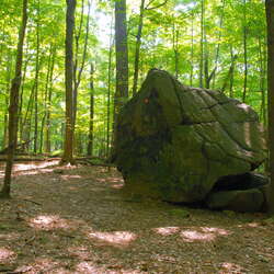 Woodfield Reservation