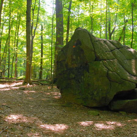 Woodfield Reservation