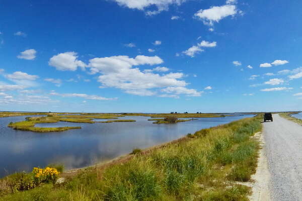 Edwin B. Forsythe NWR