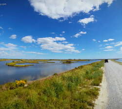 Edwin B. Forsythe National Wildlife Refuge