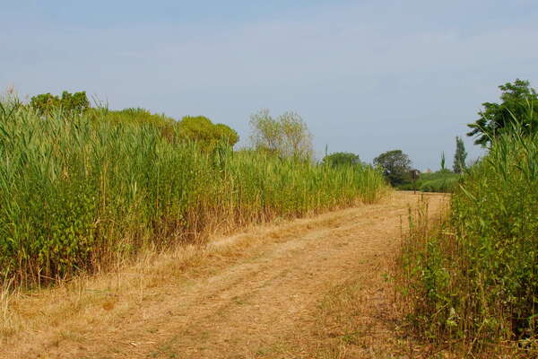 Fishermans Cove, Manasquan