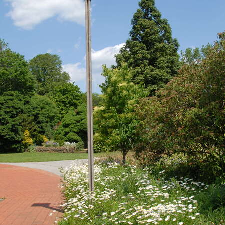 Photos Of: Deep Cut Gardens - Around the park (2008) - 08/10/2013