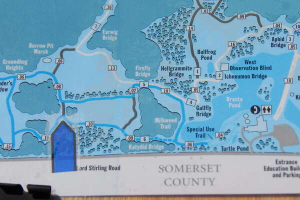 Trails in Lord Stirling Park