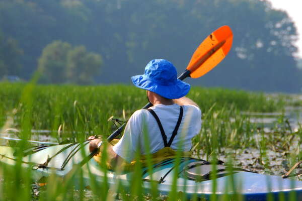 Assunpink Wildlife Management