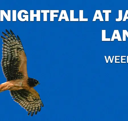 Nightfall at Jake's Landing
