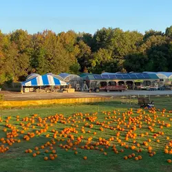 Fairfield Farms