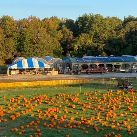 Fairfield Farms
