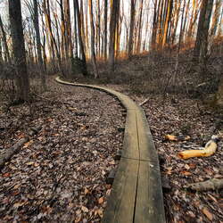 Gallery of photos from our hike at Crystal Lake Park - 03/14/2021