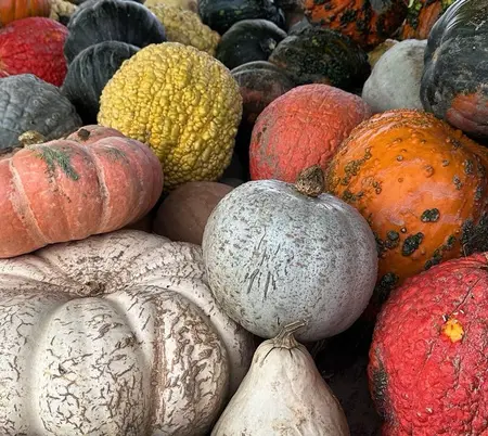 Red Wagon Farm
