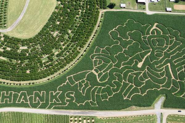 Alstede Farms Firefighter Corn maze