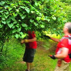 Trail Maintenance at Core Creek Park (PA/2010) - 04/09/2015