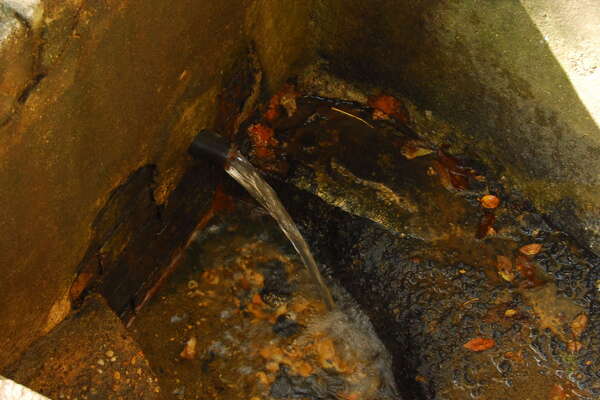 Natural Spring in Thompson Park