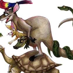 Eyes of the Wild Center