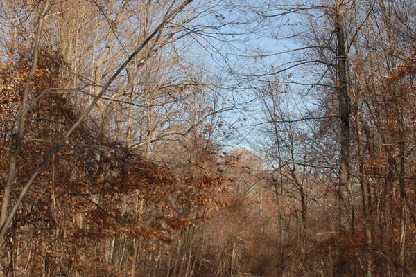 Nice wide paths, with a good bit of hills