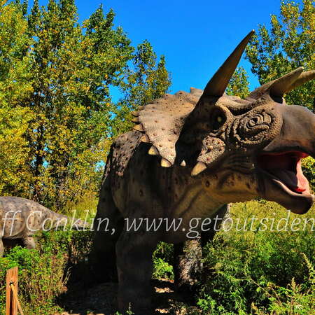Photos Of: Field Station: Dinosaurs - 06/13/2014