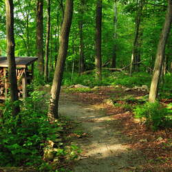 Teetertown Camping Area