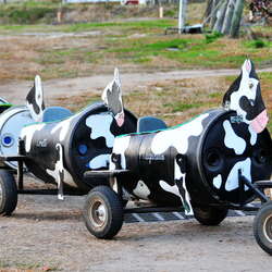 Photos of: Argos Farm - 10/28/2015