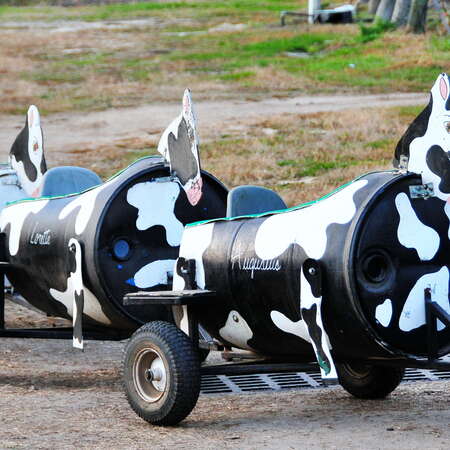 Photos of: Argos Farm - 10/28/2015